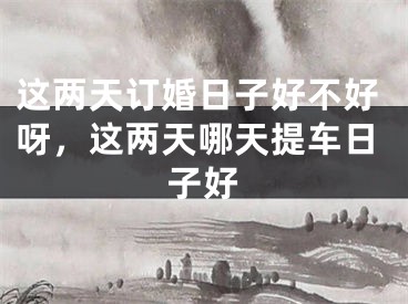 这两天订婚日子好不好呀,这两天哪天提车日子好