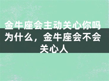 金牛座会主动关心你吗为什么,金牛座会不会关心人