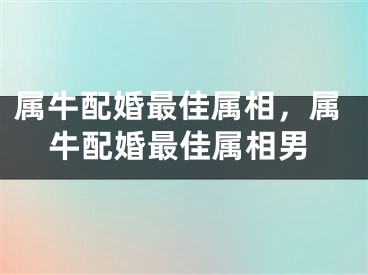 属牛配婚最佳属相,属牛配婚最佳属相男