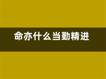 命亦什么当勤精进