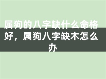 属狗的八字缺什么命格好,属狗八字缺木怎么办