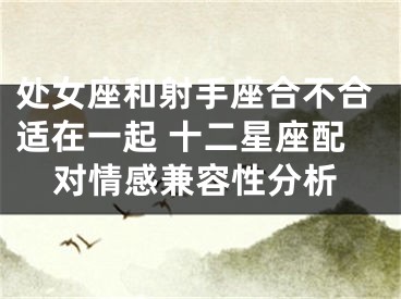 处女座和射手座合不合适在一起 十二星座配对情感兼容性分析