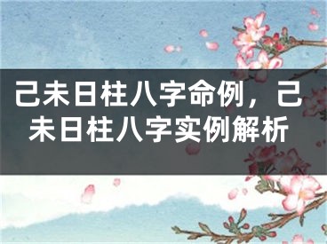 己未日柱八字命例,己未日柱八字实例解析
