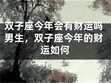 双子座今年会有财运吗男生,双子座今年的财运如何