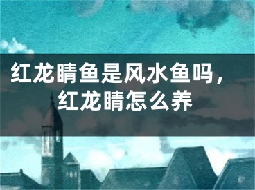 红龙睛鱼是风水鱼吗,红龙睛怎么养