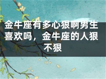 金牛座有多心狠啊男生喜欢吗,金牛座的人狠不狠