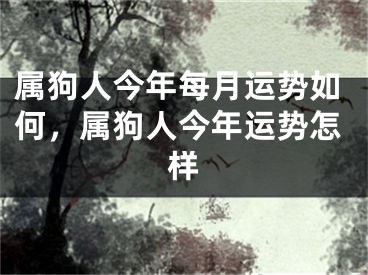 属狗人今年每月运势如何,属狗人今年运势怎样