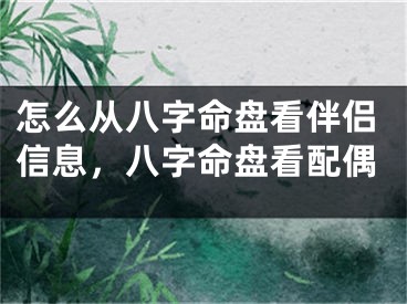 怎么从八字命盘看伴侣信息,八字命盘看配偶