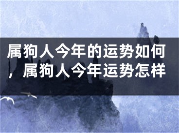 属狗人今年的运势如何,属狗人今年运势怎样