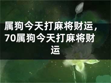 属狗今天打麻将财运,70属狗今天打麻将财运
