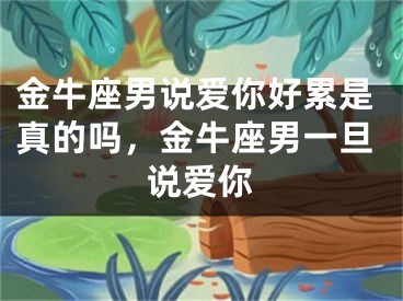 金牛座男说爱你好累是真的吗,金牛座男一旦说爱你