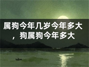 属狗今年几岁今年多大,狗属狗今年多大