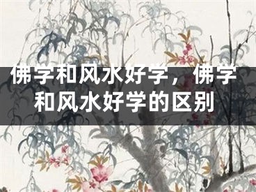 佛学和风水好学,佛学和风水好学的区别