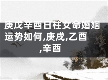 庚戊辛酉日柱女命婚姻运势如何,庚戌,乙酉,辛酉