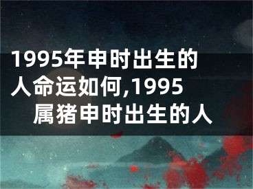 1995年申时出生的人命运如何,1995属猪申时出生的人