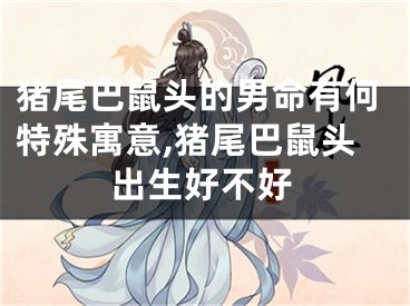 猪尾巴鼠头的男命有何特殊寓意,猪尾巴鼠头出生好不好