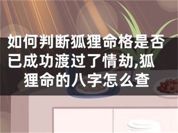 如何判断狐狸命格是否已成功渡过了情劫,狐狸命的八字怎么查