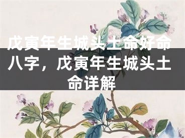 戊寅年生城头土命好命八字,戊寅年生城头土命详解