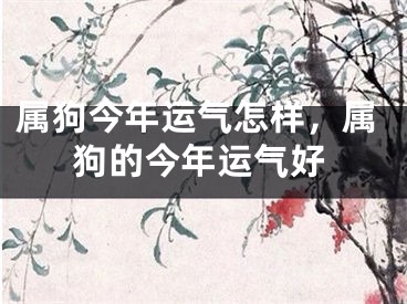 属狗今年运气怎样,属狗的今年运气好