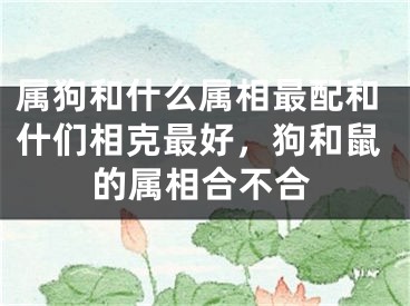 属狗和什么属相最配和什们相克最好,狗和鼠的属相合不合