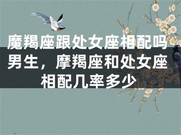 魔羯座跟处女座相配吗男生,摩羯座和处女座相配几率多少