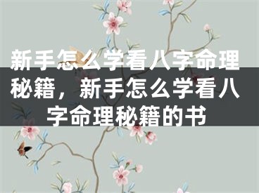 新手怎么学看八字命理秘籍,新手怎么学看八字命理秘籍的书