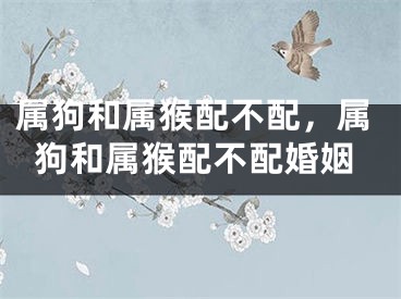 属狗和属猴配不配,属狗和属猴配不配婚姻