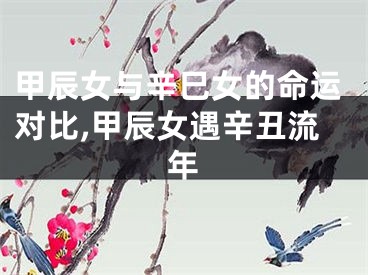 甲辰女与辛巳女的命运对比,甲辰女遇辛丑流年