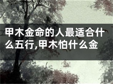 甲木金命的人最适合什么五行,甲木怕什么金