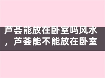 芦荟能放在卧室吗风水,芦荟能不能放在卧室