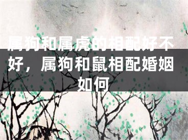 属狗和属虎的相配好不好,属狗和鼠相配婚姻如何