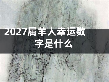2027属羊人幸运数字是什么