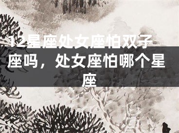 12星座处女座怕双子座吗,处女座怕哪个星座