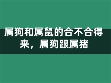 属狗和属鼠的合不合得来,属狗跟属猪