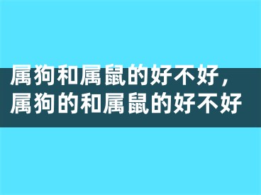 属狗和属鼠的好不好,属狗的和属鼠的好不好