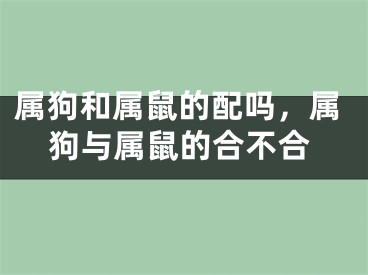 属狗和属鼠的配吗,属狗与属鼠的合不合