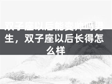 双子座以后能变帅吗男生,双子座以后长得怎么样