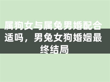 属狗女与属兔男婚配合适吗,男兔女狗婚姻最终结局