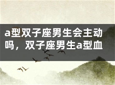 a型双子座男生会主动吗,双子座男生a型血