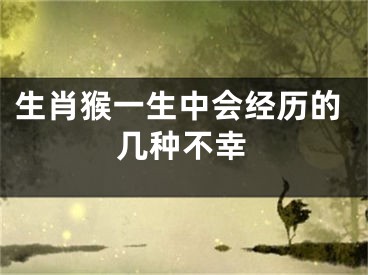 生肖猴一生中会经历的几种不幸