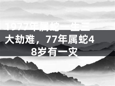1977年属蛇一生三大劫难,77年属蛇48岁有一灾