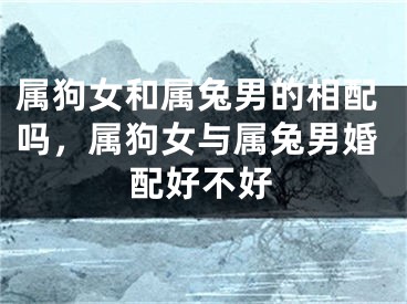 属狗女和属兔男的相配吗,属狗女与属兔男婚配好不好