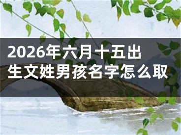 2026年六月十五出生文姓男孩名字怎么取