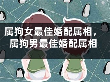属狗女最佳婚配属相,属狗男最佳婚配属相