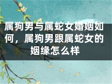 属狗男与属蛇女婚姻如何,属狗男跟属蛇女的姻缘怎么样