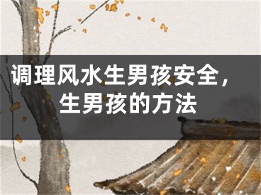 调理风水生男孩安全,生男孩的方法