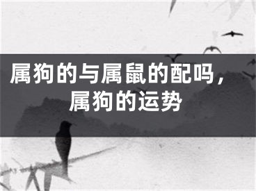 属狗的与属鼠的配吗,属狗的运势