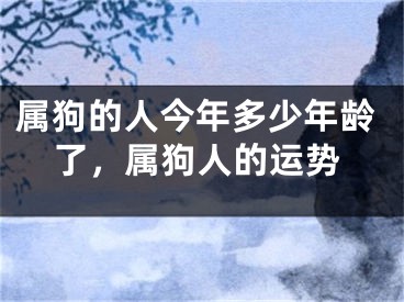属狗的人今年多少年龄了,属狗人的运势