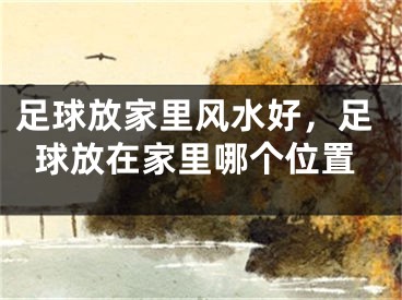 足球放家里风水好,足球放在家里哪个位置