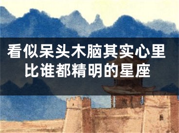 看似呆头木脑其实心里比谁都精明的星座